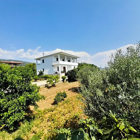 Villa Besart Берат Екстериор снимка