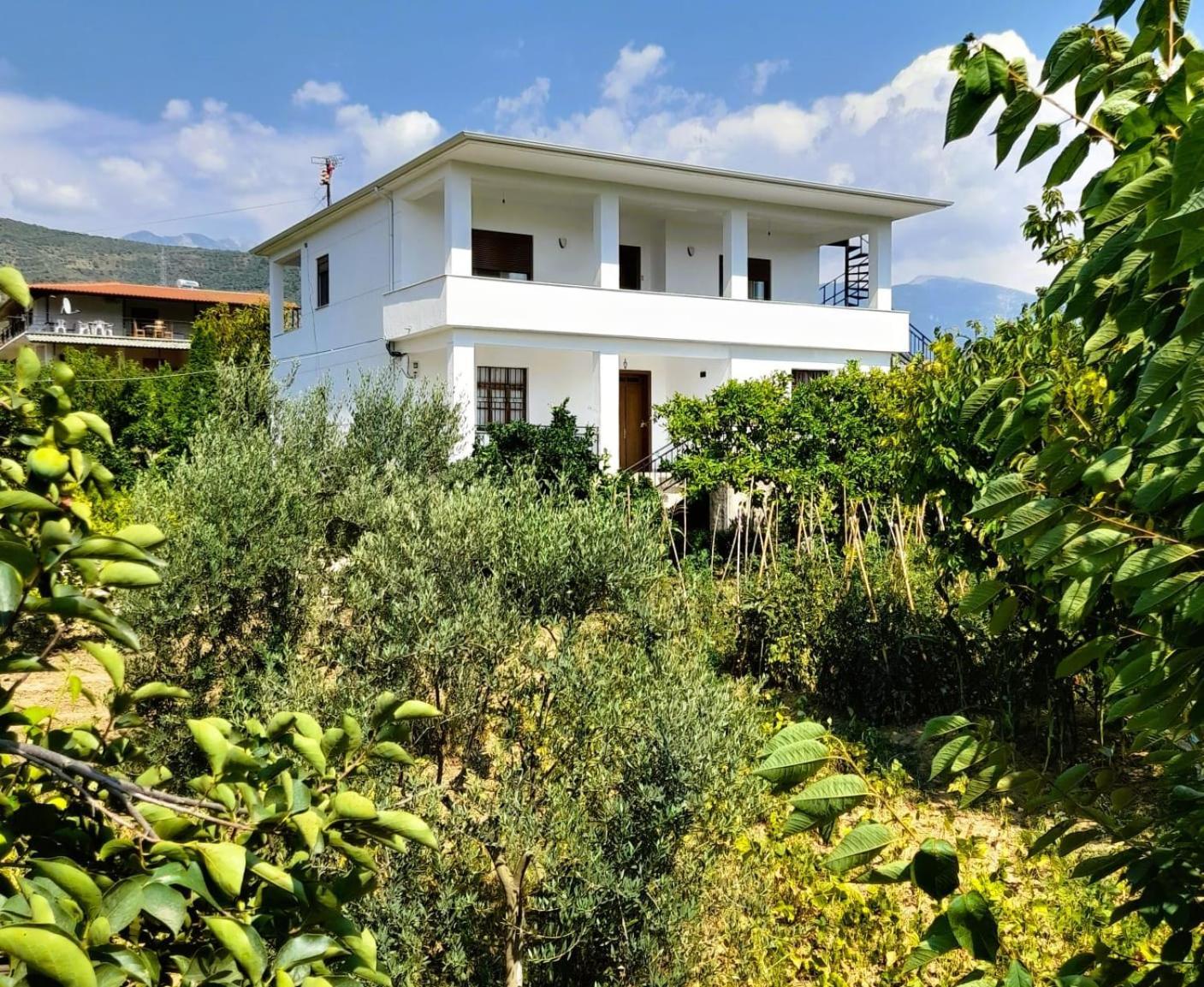 Villa Besart Берат Екстериор снимка
